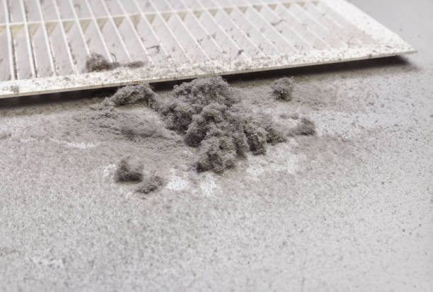 Best Commercial Air Duct Cleaning  in Eagle Lake, WI