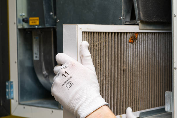 Best Professional Duct Cleaning Services  in Eagle Lake, WI